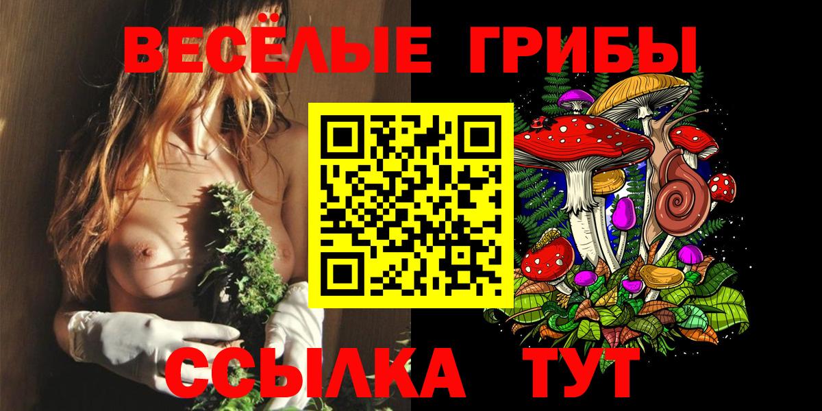 Добрянка  Галлюциногенные грибы прущие грибы  Вход с VPN 